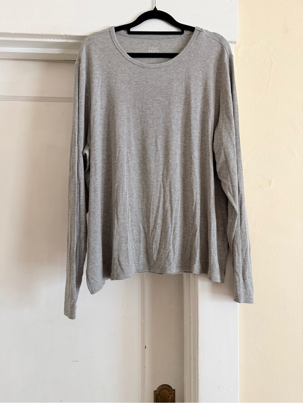 Cozy Earth Women's Long Sleeve Crewneck Tee - Light Gray
